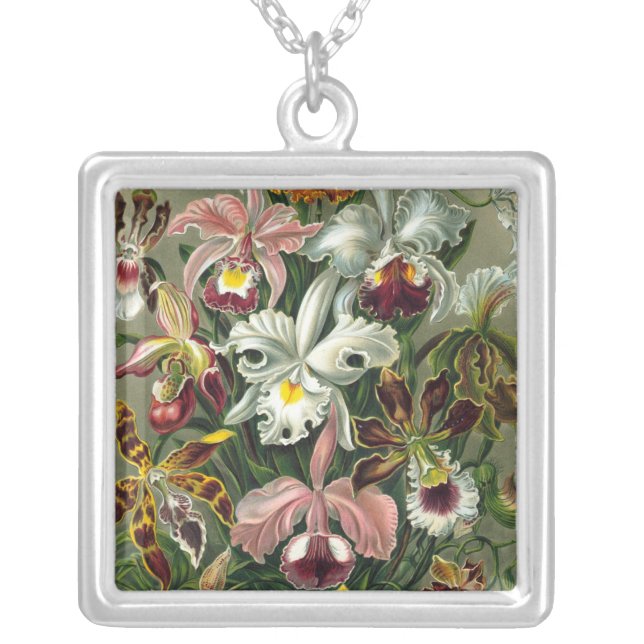Haeckel Orchids Silver Plated Necklace (Front)
