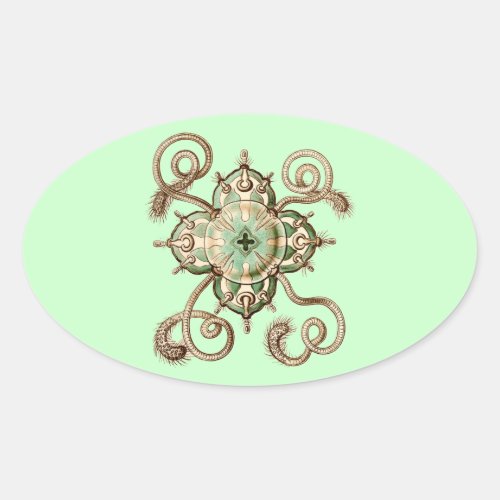 Haeckel Oval Sticker