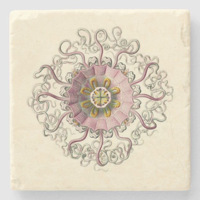 Haeckel Peromedusa Coaster (Front)