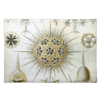 Haeckel Phaeodaria Placemat by haeckel_inspired at Zazzle
