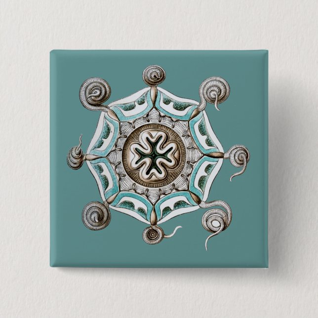 Haeckel Pinback Button (Front)