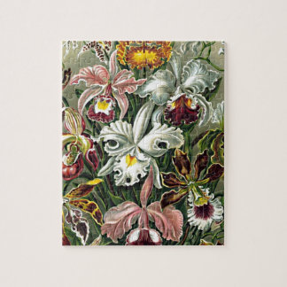Haeckel Pink White Yellow Orchid Flowers Painting Jigsaw Puzzle