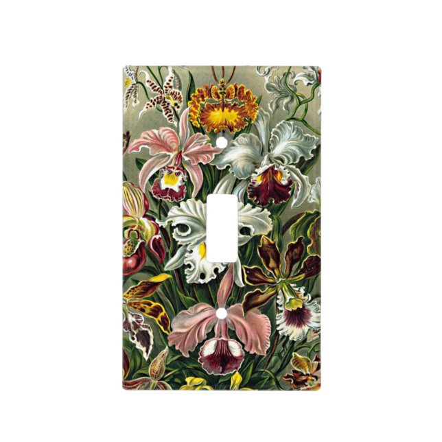 Haeckel Pink White Yellow Orchid Flowers Painting Light Switch Cover (Front)