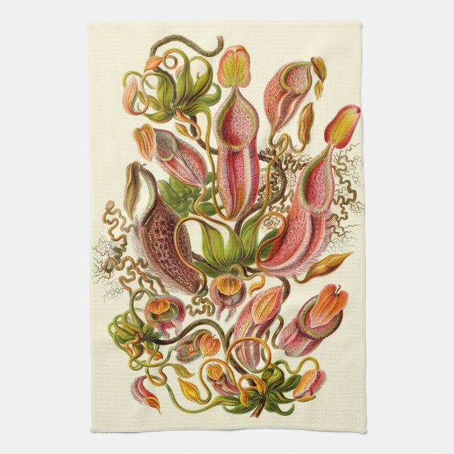 Haeckel Pitcher Plant Botanical Illustration Towel (Vertical)