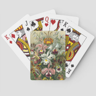 Haeckel Poker Cards