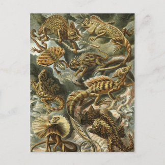 Haeckel Reptiles Postcard
