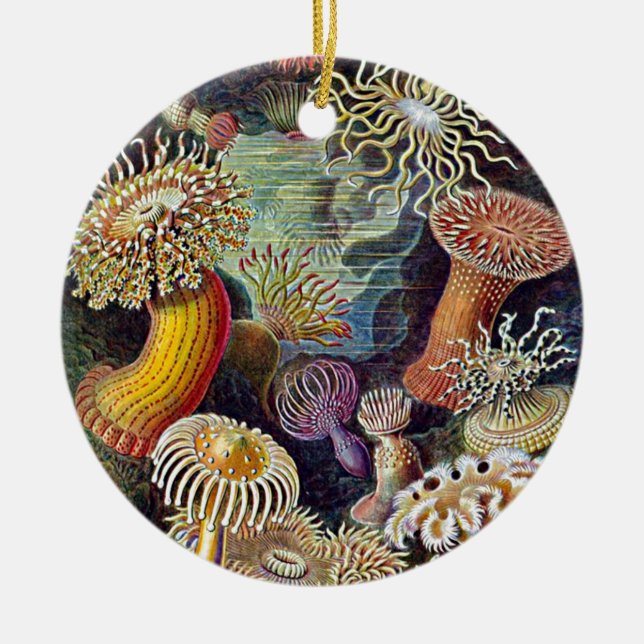Haeckel Sea Anemone Ocean Life Nature Art Painting Ceramic Ornament (Front)