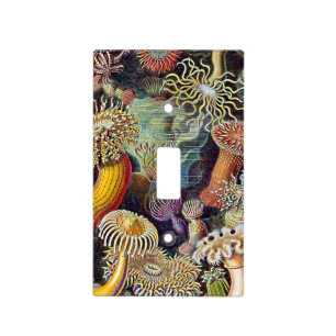 Haeckel Sea Anemone Ocean Life Nature Art Painting Light Switch Cover