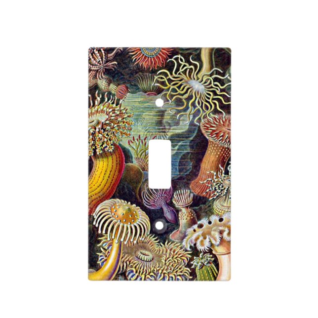 Haeckel Sea Anemone Ocean Life Nature Art Painting Light Switch Cover (Front)