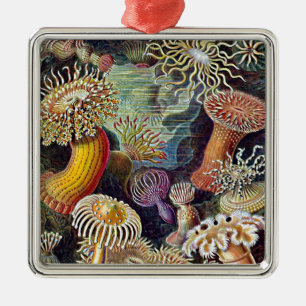 Haeckel Sea Anemone Ocean Life Painting Metal Ornament