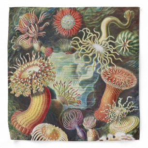 Haeckel Sea Anemones Nautical Sea Life Art Collage Bandana