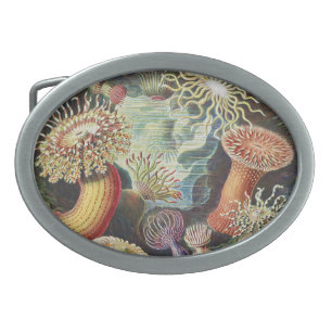 Haeckel Sea Anemones Nautical Sea Life Art Collage Belt Buckle