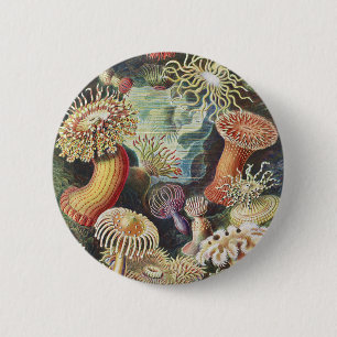 Haeckel Sea Anemones Nautical Sea Life Art Collage Button