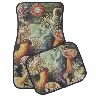 Haeckel Sea Anemones Nautical Sea Life Art Collage Car Floor Mat