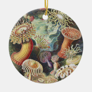 Haeckel Sea Anemones Nautical Sea Life Art Collage Ceramic Ornament