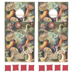 Haeckel Sea Anemones Nautical Sea Life Art Collage Cornhole Set