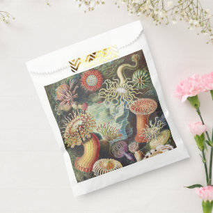 Haeckel Sea Anemones Nautical Sea Life Art Collage Favor Bag