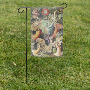 Haeckel Sea Anemones Nautical Sea Life Art Collage Garden Flag