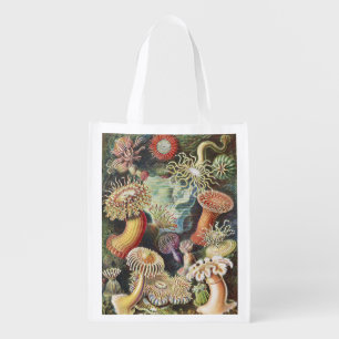 Haeckel Sea Anemones Nautical Sea Life Art Collage Grocery Bag