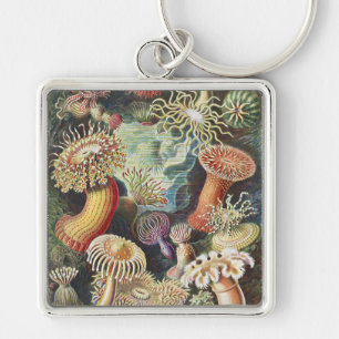 Haeckel Sea Anemones Nautical Sea Life Art Collage Keychain
