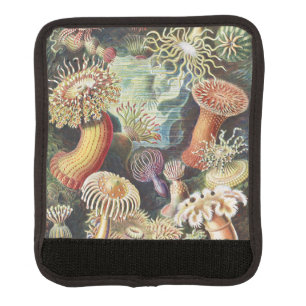 Haeckel Sea Anemones Nautical Sea Life Art Collage Luggage Handle Wrap