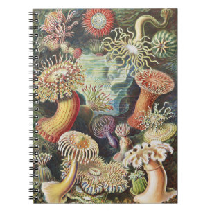 Haeckel Sea Anemones Nautical Sea Life Art Collage Notebook