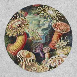 Haeckel Sea Anemones Nautical Sea Life Art Collage Patch