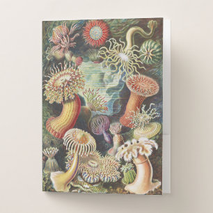 Haeckel Sea Anemones Nautical Sea Life Art Collage Pocket Folder