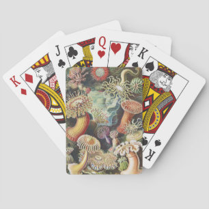 Haeckel Sea Anemones Nautical Sea Life Art Collage Poker Cards