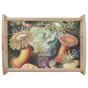 Haeckel Sea Anemones Nautical Sea Life Art Collage Serving Tray
