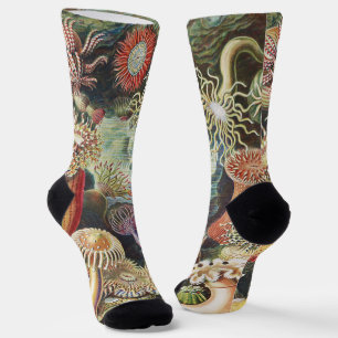 Haeckel Sea Anemones Nautical Sea Life Art Collage Socks
