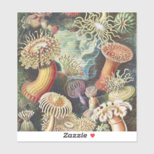 Haeckel Sea Anemones Nautical Sea Life Art Collage Sticker