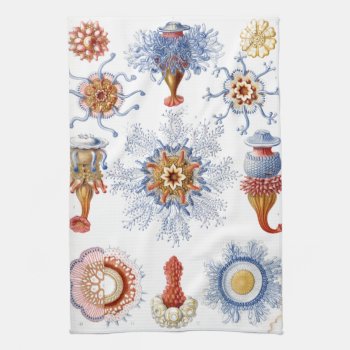 Haeckel Siphonophorae Towel by haeckel_inspired at Zazzle