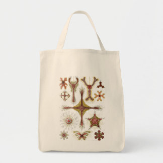 Haeckel Tote Bag