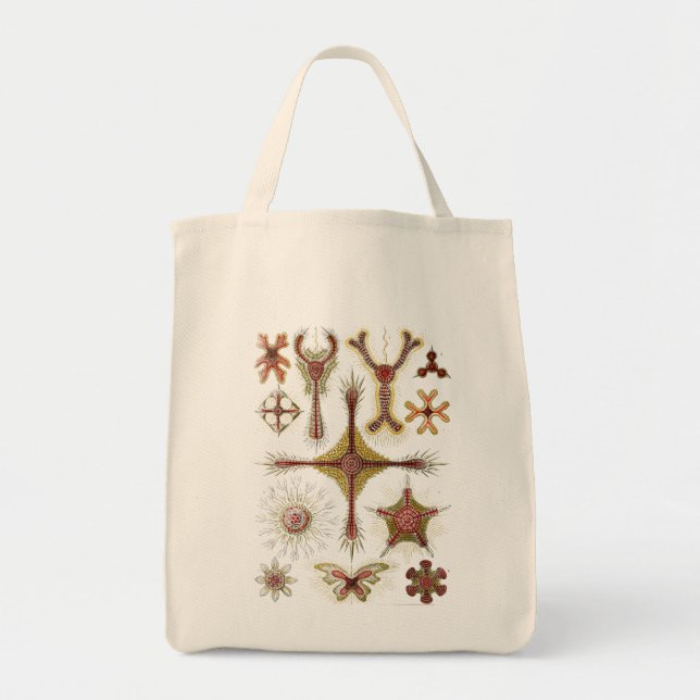 Haeckel Tote Bag (Front)