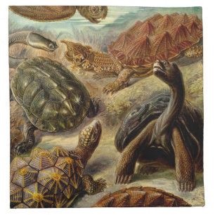 Haeckel Turtles Cloth Napkin