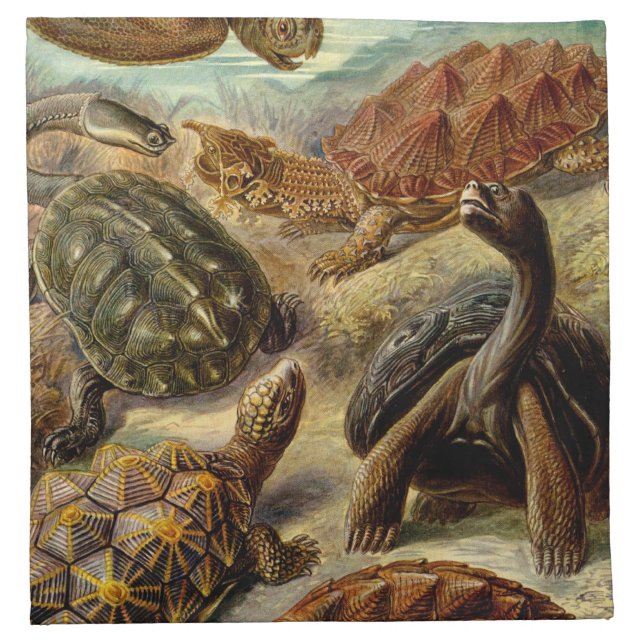 Haeckel Turtles Cloth Napkin (Front)