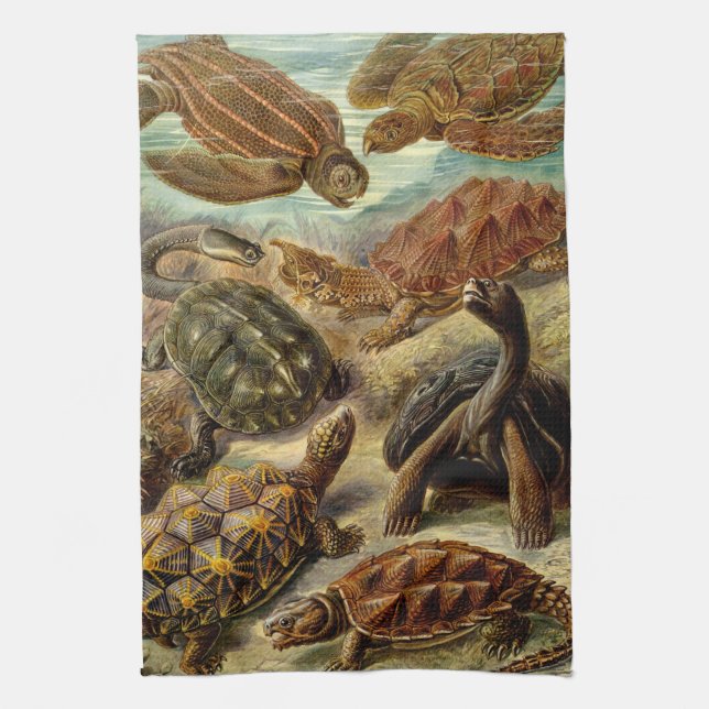 Haeckel Turtles Towel (Vertical)