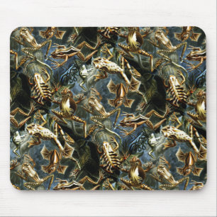 Haeckel Vintage Amphibians Mouse Pad