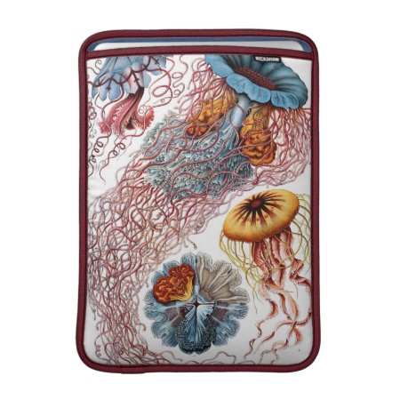 Haeckel Vintage Jellyfish Macbook Air Sleeve