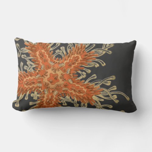 Haeckel vintage sealife lumbar pillow