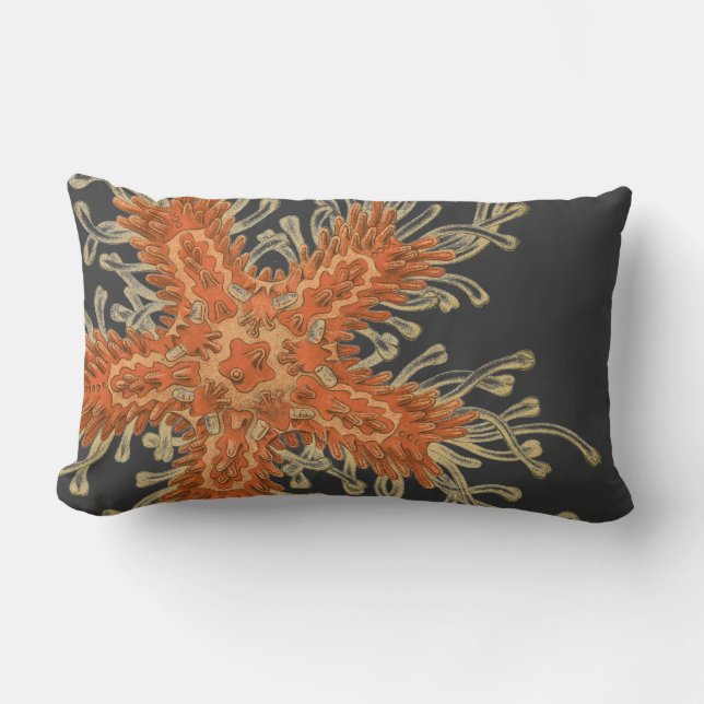 Haeckel vintage sealife lumbar pillow (Front)