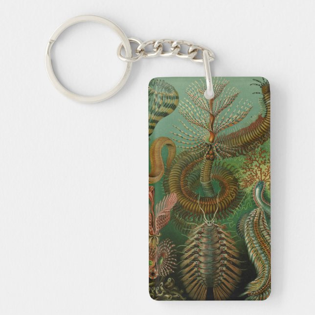 Haeckel's Chaetopoda Keychain (Front)