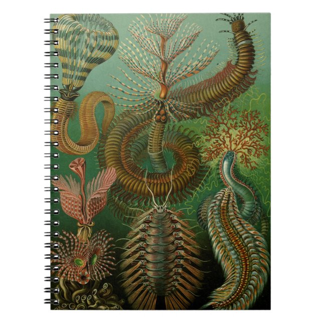 Haeckel's Chaetopoda Notebook (Front)