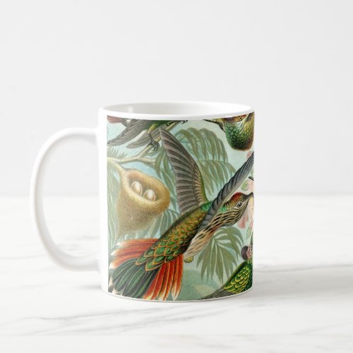 Haeckels Hummingbirds Coffee Mug