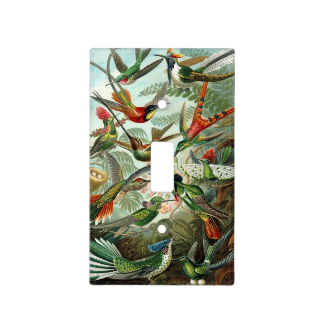 Haeckel's Hummingbirds Light Switch Cover (Front)