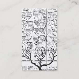 Haeckels Tree of Life profile card