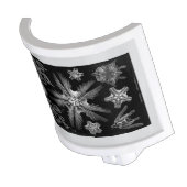 Haeckle 1889 Science White on Black Night Light (Angled)