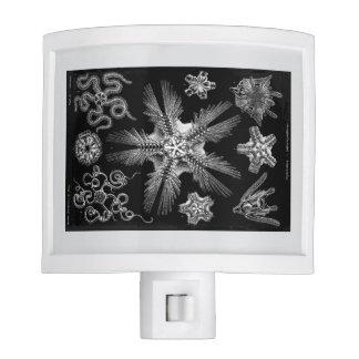 Haeckle 1889 Science White on Black Night Light
