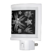 Haeckle 1889 Science White on Black Night Light (Left)